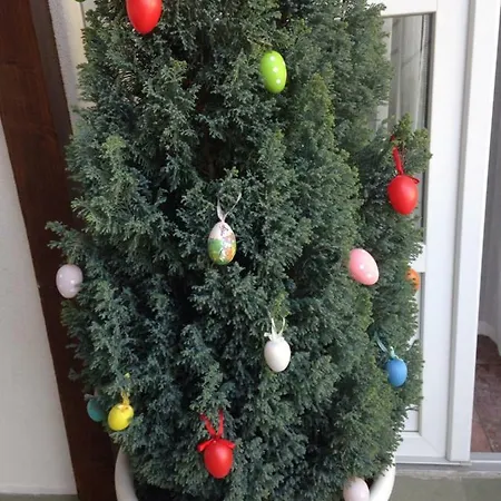 Abszolut Vendeghaz Πανσιόν