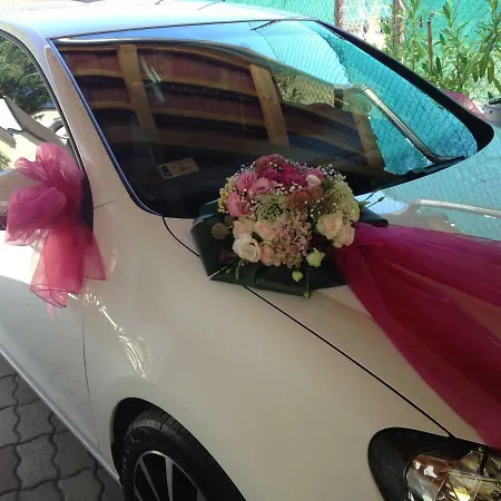 Πανσιόν Abszolut Vendeghaz