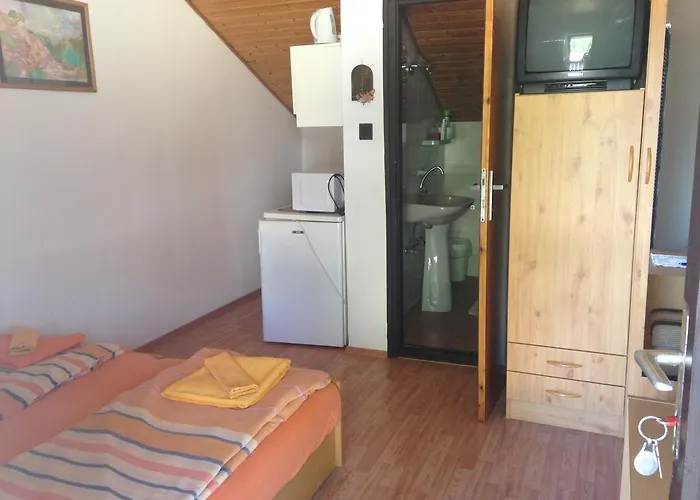 Abszolut Vendeghaz Gasthuis