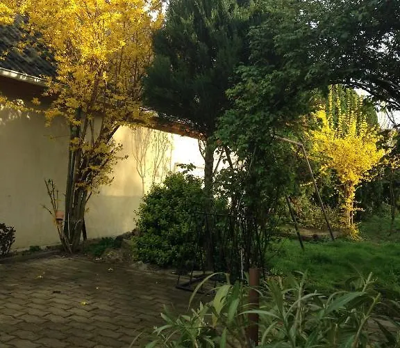 Abszolut Vendeghaz קסזטלי