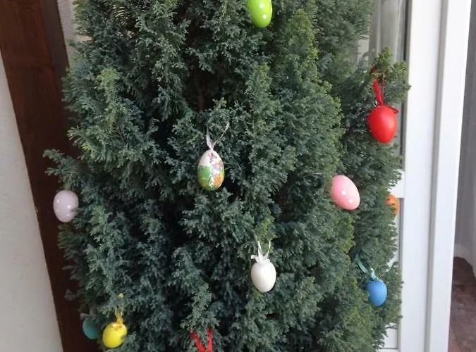 Abszolut Vendeghaz בית הארחה